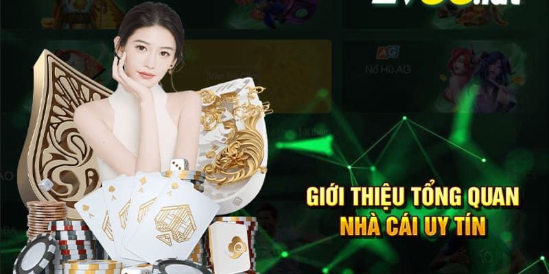 Tóm tắt thông tin giới thiệu PG88